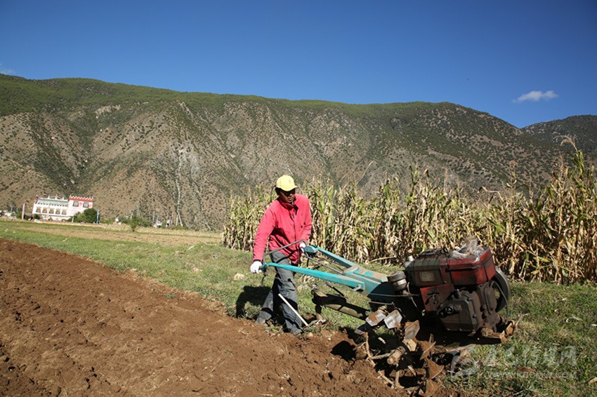 田園藏鄉(xiāng)美如畫，百姓脫貧喜在心