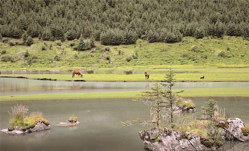 去甘孜 邂逅絕美湖泊海子！