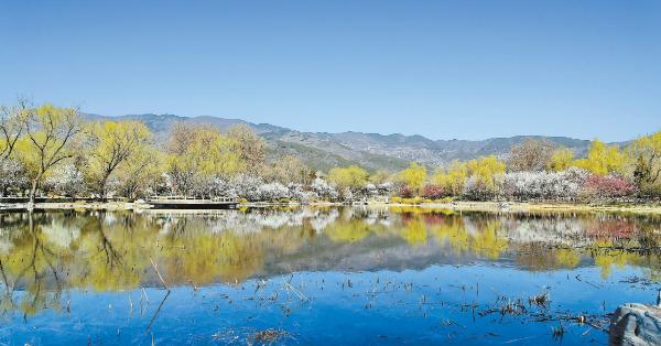 2022年全國森林.jpg 2022年全國森林.jpg