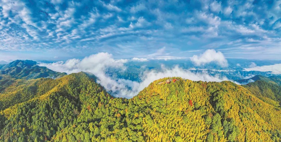 　三明森林生態(tài)環(huán)境優(yōu)美。